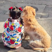 穿旗袍的麦兜猪🇨🇳🇨🇳🇨🇳(互fo) (@mcdullyan) 's Twitter Profile