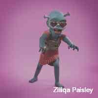 paisleyzillliq's profile picture. Dm for listing & marketing services 📥  never miss ordinals mint info 🔔 ordinals ordinalsnft bitcoin btc brc20 nft nftcommunity