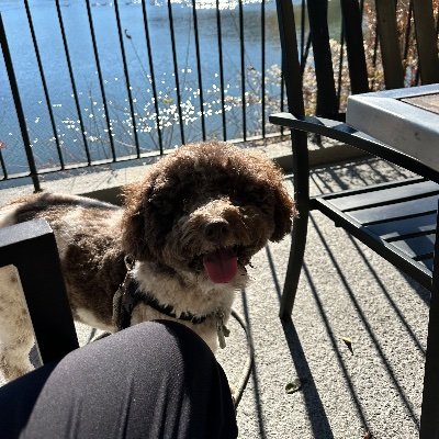 harlbolaw's profile picture. 