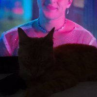 ' (@giarfloe) 's Twitter Profile