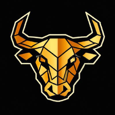 Bullofbitcoin1 Profile Picture