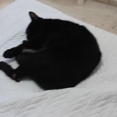 MAFJ462166's profile picture. Hola