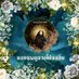 หมอนพดูดวงให้หน่อย (@nop_nnss) Twitter profile photo หมอนพดูดวงให้หน่อย (@nop_nnss) Twitter profile photo