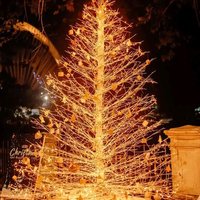 kalabahi lokal (@dahrikedua) 's Twitter Profile Photo