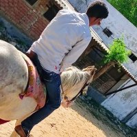 Amit kumar chandel (@amitkum63248321) 's Twitter Profile