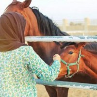 حنان الشمري (@hananshemari) Twitter profile photo