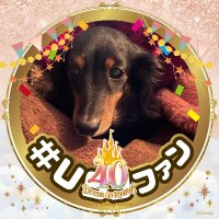 よーすけ5555ディズニー&USJ(@yochan_marvel) 's Twitter Profile Photo