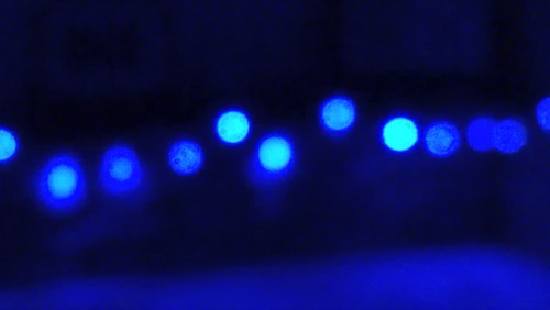 drew01steal's profile picture. 