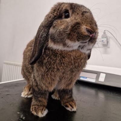 hay2286's profile picture. me has now taken over mines bun mums account!