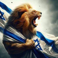 Human Being הארווי(@HumanBeing68502) 's Twitter Profile Photo