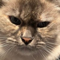 KDANNY (@realkdanny) 's Twitter Profile