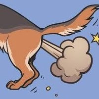 放屁猛的狼狗☣ (@fartdogmuying) 's Twitter Profile Photo 放屁猛的狼狗☣ (@fartdogmuying) 's Twitter Profile Photo