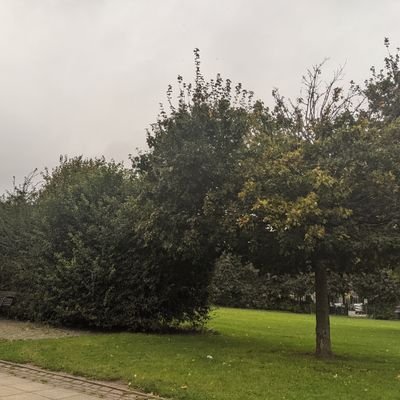 MahiKhanTT's profile picture. 