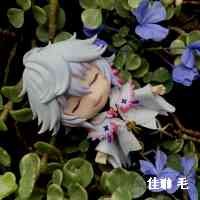 ✡️世界玄密协会认证咨询师II 塔罗咨询‖ 占星师
❣️任何问题都可以私信PM我
🍧喜欢美食,喜欢唱歌🎤,喜欢猫狗🐶
✏️愿意倾听你的一切
📌在吉隆坡有2家线下门店,可面占tarot_luckyseed
📪解决过成千上万人问题
🧸客人遍布中国🇨🇳美国🇺🇸英国🇬🇧日本🇯🇵马来西亚🇲🇾新加坡🇸🇬……