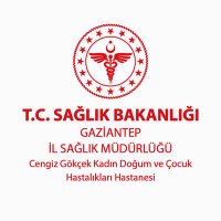 Cengiz Gökçek Kadın Doğum ve Çocuk Hastalıkları H.(@CengizGokceKdcH) 's Twitter Profile Photo