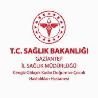 Cengiz Gökçek Kadın Doğum ve Çocuk Hastalıkları H. (@cengizgokcekdch) 's Twitter Profile