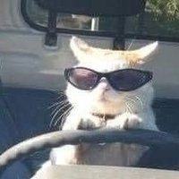 estelle (@jsldeqjv) 's Twitter Profile Photo estelle (@jsldeqjv) 's Twitter Profile Photo