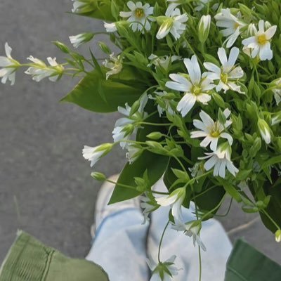 1ovingpinkeu's profile picture. 🦌🐰