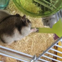 あや (@5n3lgp9qbpg851u) Twitter profile photo