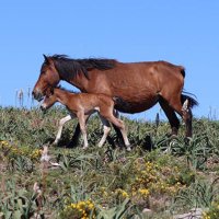 sondaterra (@sonchedaterra) 's Twitter Profile Photo sondaterra (@sonchedaterra) 's Twitter Profile Photo