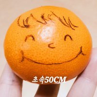 초속50CM(@WalkSlowly___) 's Twitter Profile Photo