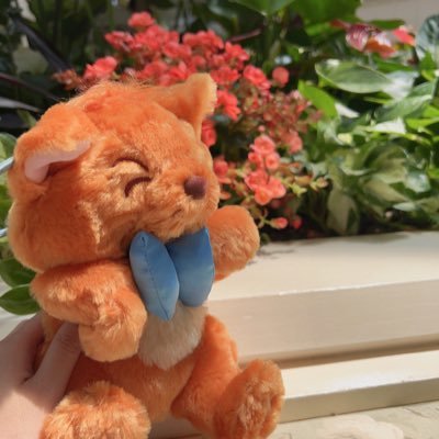 2louserj's profile picture. 25↑ ♀︎┊︎Dアカ(日常もちょこちょこ) ┊︎𝘛𝘩𝘦 𝘈𝘳𝘪𝘴𝘵𝘰𝘤𝘢𝘵𝘴🎨 ┊ ︎𝘙𝘢𝘫𝘢𝘩, 𝘑𝘢𝘴𝘮𝘪𝘯𝘦, 𝘈𝘭𝘢𝘥𝘥𝘪𝘯🧞‍♂️ ┊︎𝘔𝘊𝘜🏹 ┊︎ 𝘚𝘖𝘕𝘠📷