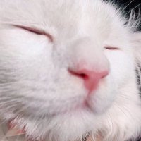 im. 🚗 (@ialwayswndst) 's Twitter Profile Photo im. 🚗 (@ialwayswndst) 's Twitter Profile Photo