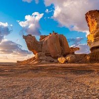 مصري تبوك (@hgvsd11) 's Twitter Profile
