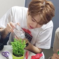 새싹 ◡̎ (@ninetwentynine_) 's Twitter Profile Photo 새싹 ◡̎ (@ninetwentynine_) 's Twitter Profile Photo