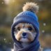 𝑷𝒂𝒕𝒓𝒊𝒄𝒊𝒂-𝑬𝒍𝒐𝒅𝒊e🐶🐈🇮🇱⛪️ (@patriciaelodieb) Twitter profile photo 𝑷𝒂𝒕𝒓𝒊𝒄𝒊𝒂-𝑬𝒍𝒐𝒅𝒊e🐶🐈🇮🇱⛪️ (@patriciaelodieb) Twitter profile photo