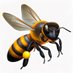 Agent Honeybee (@agenthoneybee) Twitter profile photo