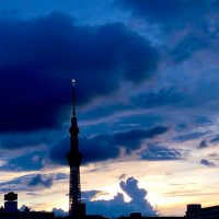 にし (@calidris_trade) 's Twitter Profile