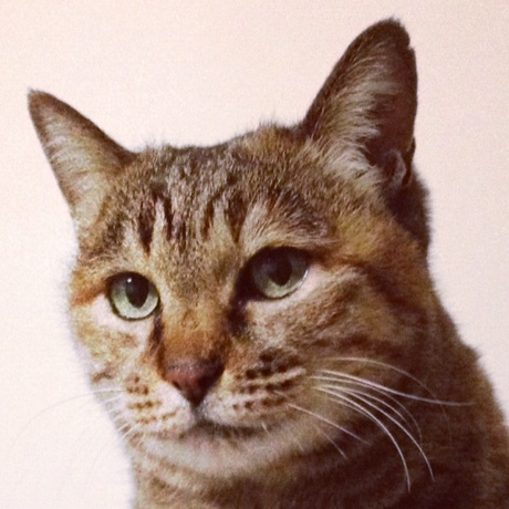 sawau's profile picture. 「滅びにいたる道は広く、光にいたる道は狭い。おまえらはいつも広い道ばかり行こうとするが、それは天辺から誤りだよ」by町田康。趣味は写真と映画と読書で、某カメラ部の部長を退職し、隠遁。晴耕雨読の生活。猫好き。