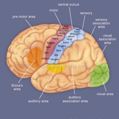 Ashamutiu's profile picture. Muslim. Dad. Realist. Neurosurgery