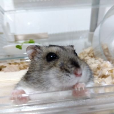 特需カーコジ、ケーコジ、収益物件頑張ってます。
カーコジ、ケーコジわからない事など何でもお気軽に申し出ください。

フォローしてない方からのDM気付くの遅れる事ありますが、出来るだけ早期に対応致します。
宜しくお願い致します。