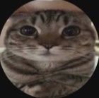 PigionPower's profile picture. .