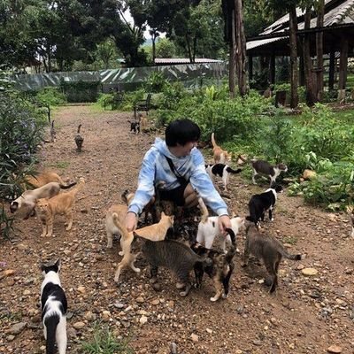 BuildurKitty's profile picture. ｡･:*:･ﾟ★,｡･:*:･ﾟ☆ 𝒷𝒾𝓊 𝒶𝓈 𝒶 𝒸𝒶𝓉 𝒹𝒶𝒾𝓁𝓎 ｡･:*:･ﾟ★,｡･:*:･ﾟ☆