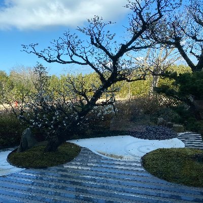 abbdeeg123456's profile picture. 