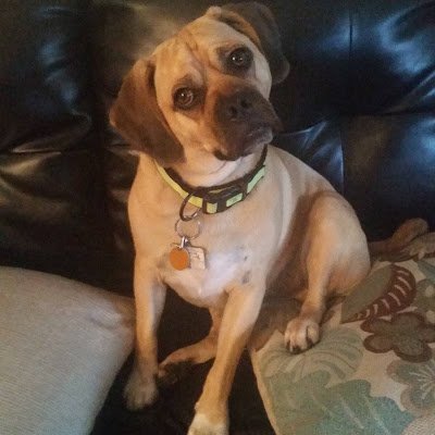 ibmhwkns18's profile picture. 