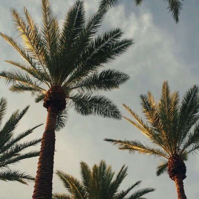 alexa_p2b's profile picture. 