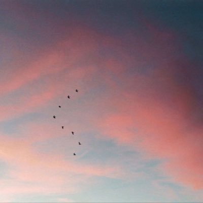 plm87k999's profile picture. 00-178-145-0.5找对象