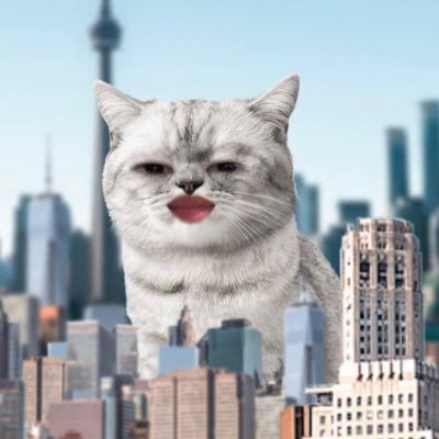 umauma888888's profile picture. 