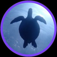ãããð¢ð (@camex_rumix) 's Twitter Profile