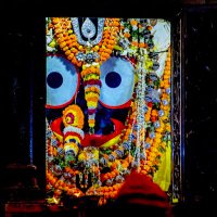 poison (@manojmi88515979) 's Twitter Profile