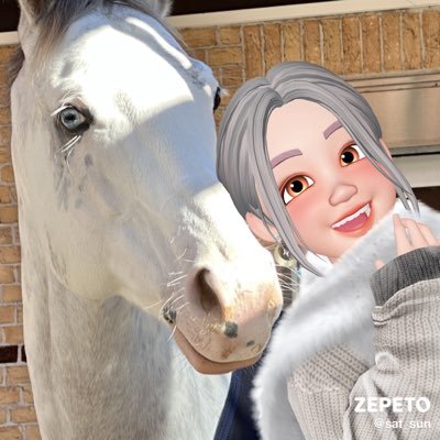 よんどらさんのプロフィール画像