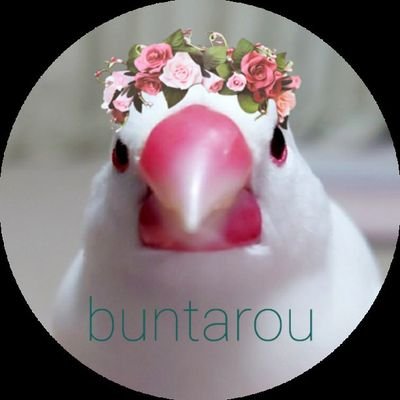 よろしくお願いいたします。
Twitter初心者なので失礼がありましたらすみません。たまにつぶやきます。
文鳥🕊️とケーキ🎂とパフェが好きです。
文鳥の名前はブンタロウ♂です。2020年1月１１日にお迎えしました。
ケーキ垢🎂作りました💕@buntarou_bunです