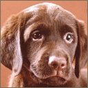 Hana Walker - @WalkerHana44496 - Twitter