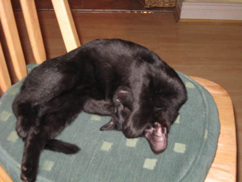 roryomahony's profile picture. 