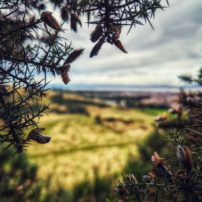 I love the outdoors and share my landscape photography here on X.
📸🏞️