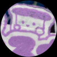 ｴﾘﾝｷﾞ (@kinoko___e) 's Twitter Profile